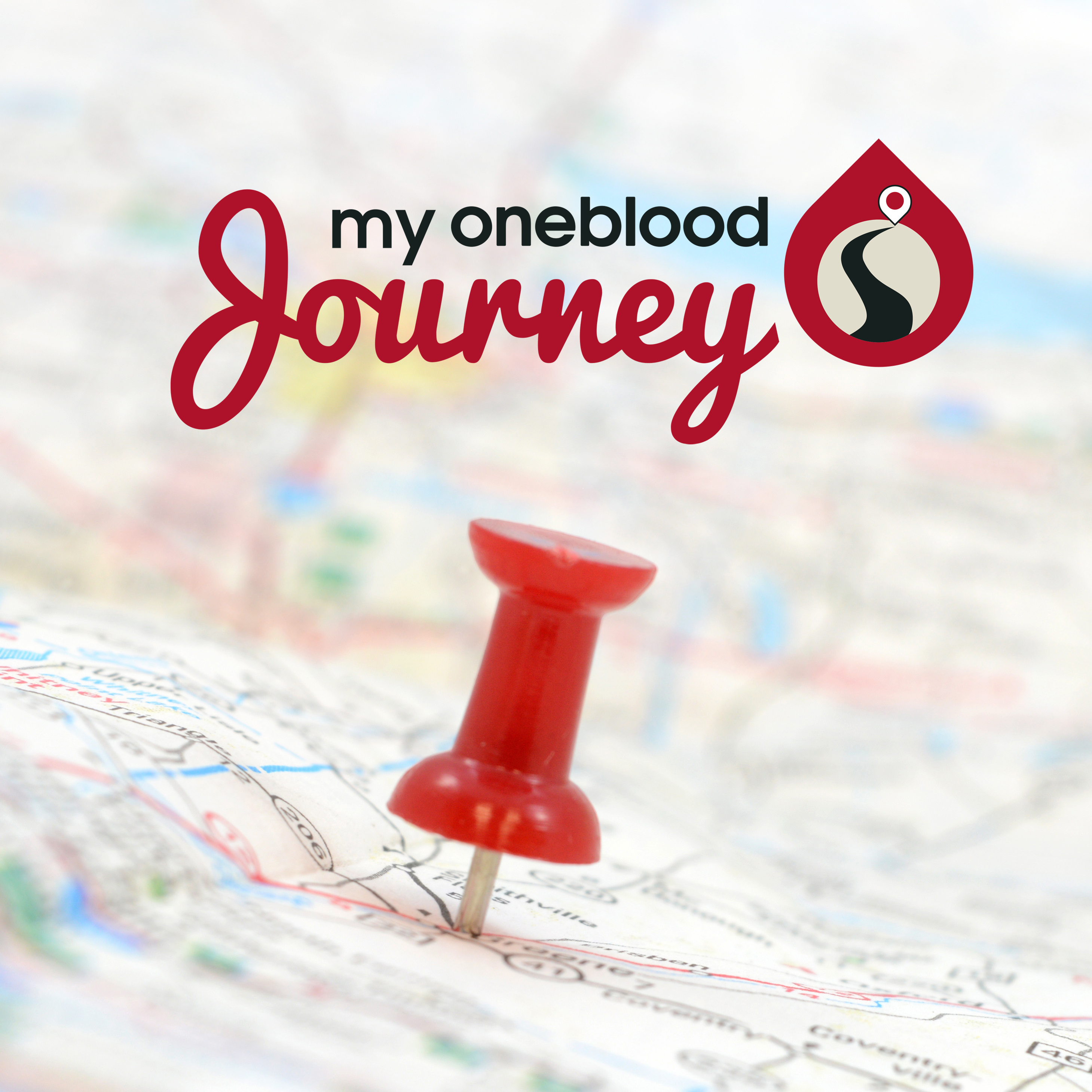 My OneBlood Journey Logo
