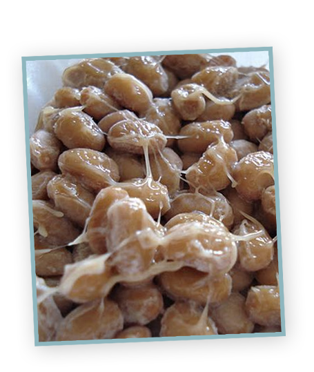 5449dd491d98d66a65c02f96_natto.png